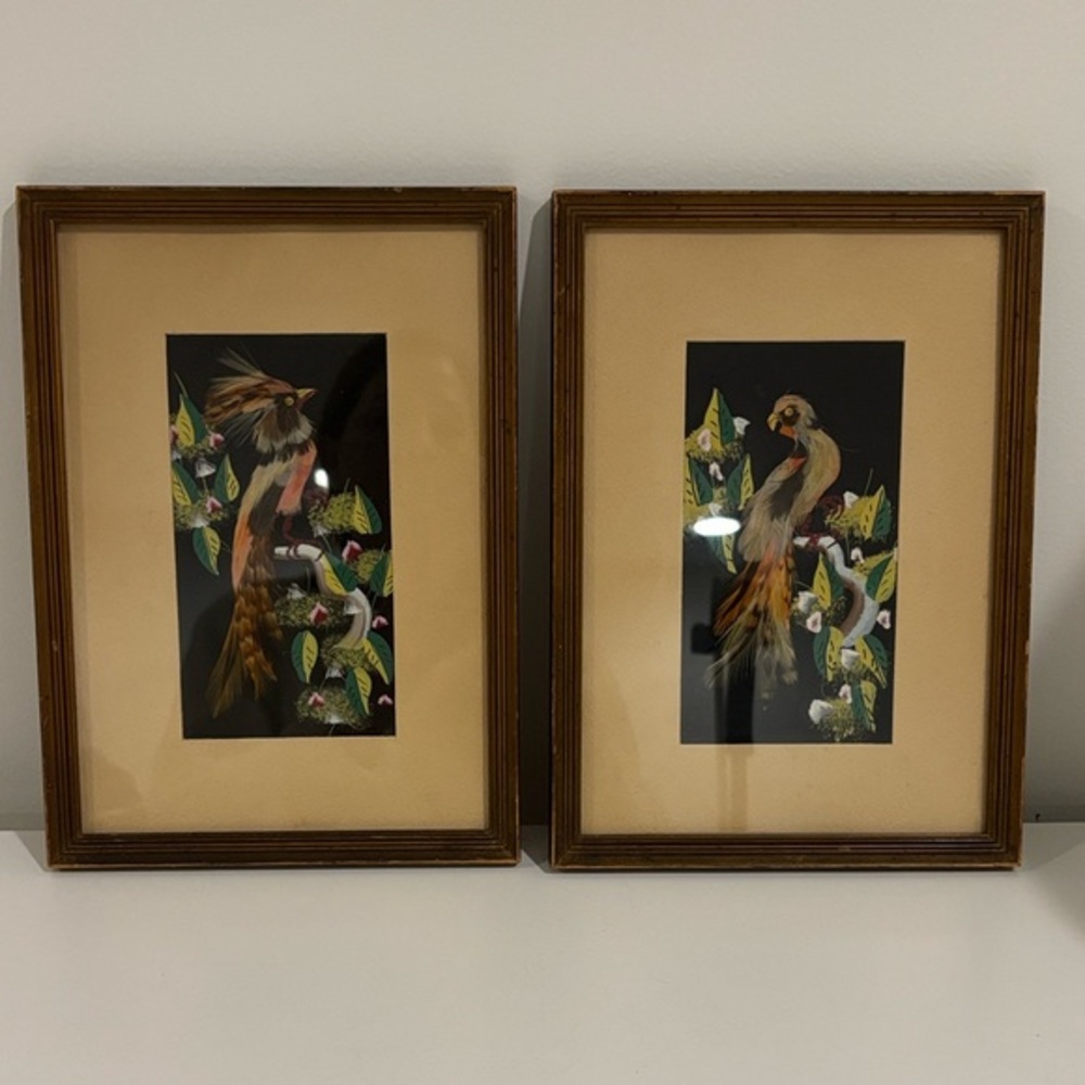 Vintage Mexican bird feather art paintings wood frames SET OF TWO 10.75" X 7.5"